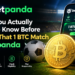What You Actually Need to Know Before Taking That 1 BTC Match at Betpanda